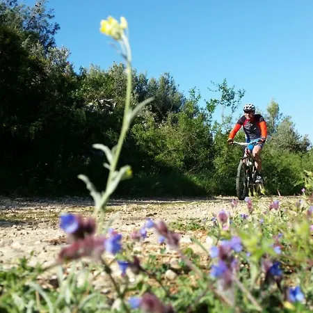 Carpe Diem By Interhome Trogir