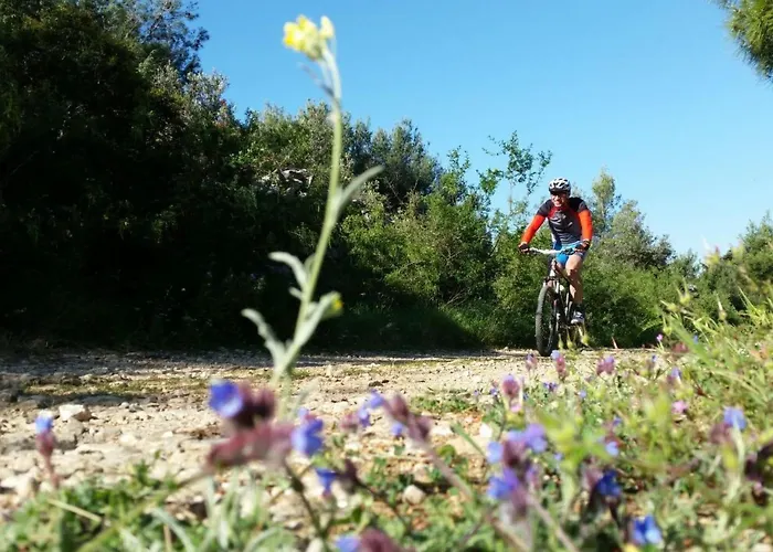 Carpe Diem By Interhome Trogir